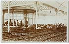 Westbrook Bandstand interior 1911 [PC]